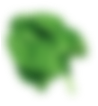 rev_home8_2
